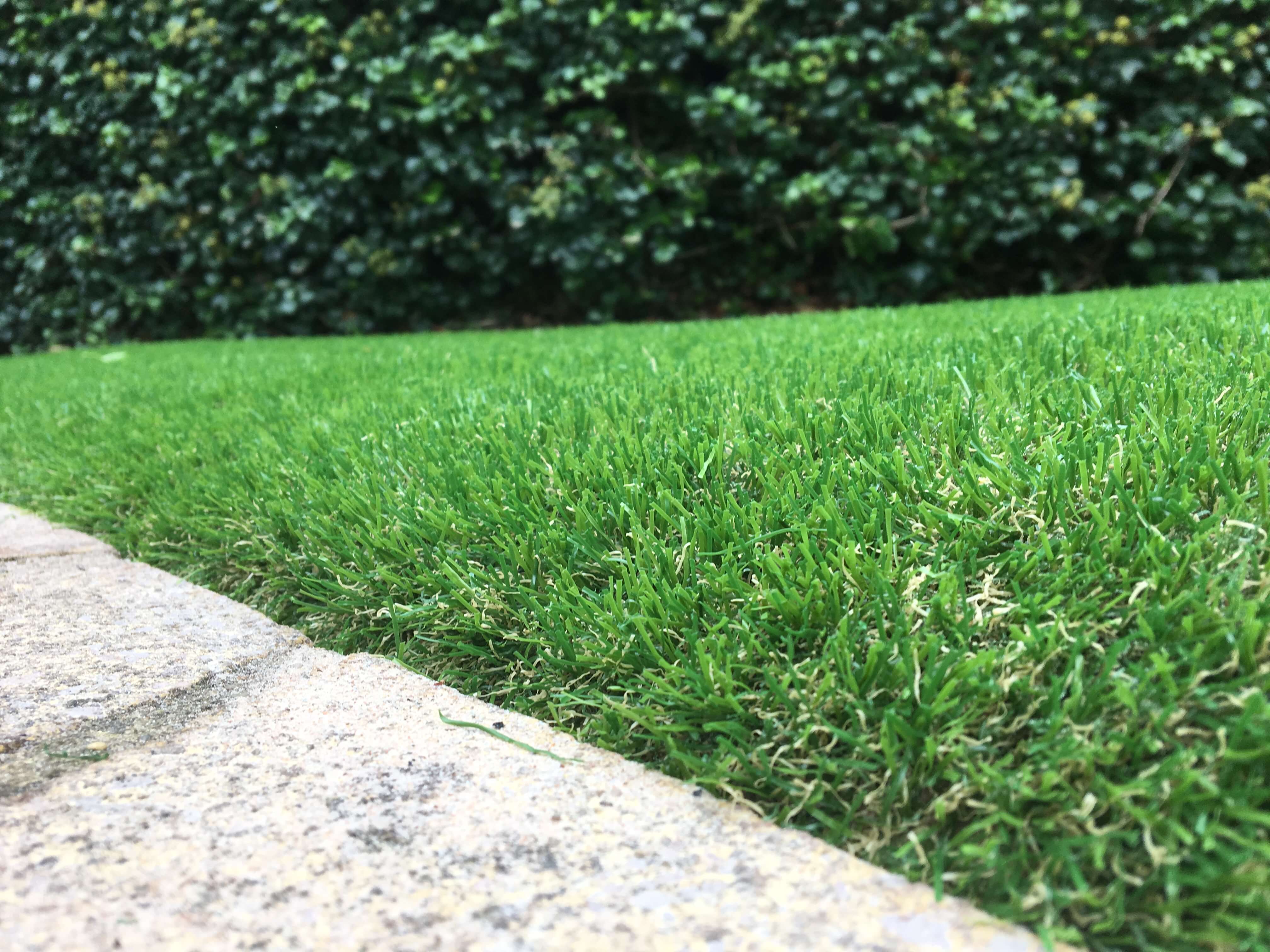 AGI photo of synthetic grass